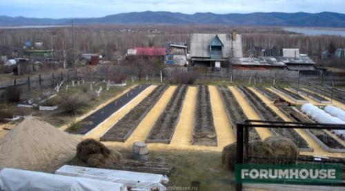Ленивая грядка. Умные грядки на огороде: схема расположения