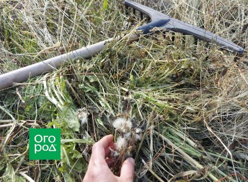 Как сделать ленивые грядки. Как сделать умные грядки своими руками 11