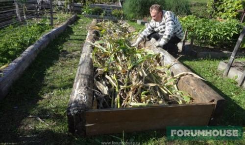 Ленивая грядка. Умные грядки на огороде: схема расположения
