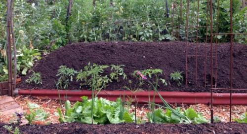 Теплая грядка осенью. Что такое теплая грядка?