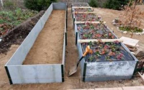 Теплая грядка для клубники. Теплые грядки для клубники: как сделать своими руками, фото, размеры и посадка