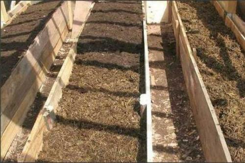Теплая грядка слои. Заглубленные теплые грядки