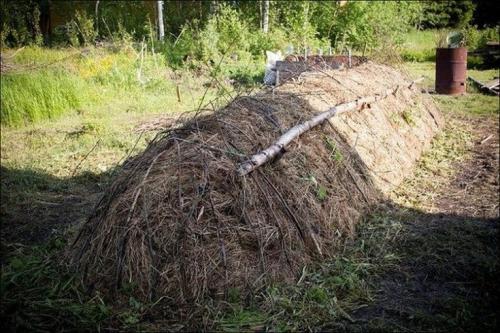 Теплые грядки своими руками: пошаговое изготовление. (+58 фото) Как изготовить теплые грядки своими руками