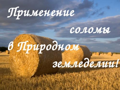 Теплая грядка из соломы. Применение и роль соломы в природном земледелии!