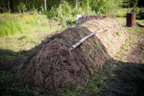 3 способа, как сделать тёплые грядки на даче. Как сделать своими руками