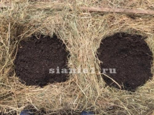 3 способа, как сделать тёплые грядки на даче. Как сделать своими руками 07