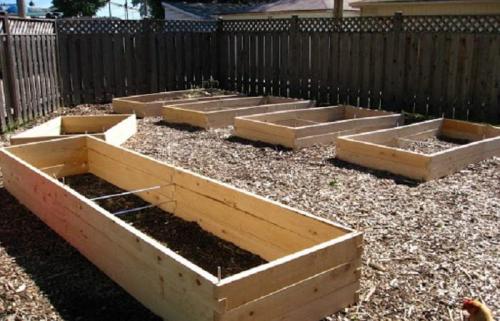 Теплые грядки своими руками: пошаговое изготовление. Устройство и пошаговое изготовление теплых грядок своими руками