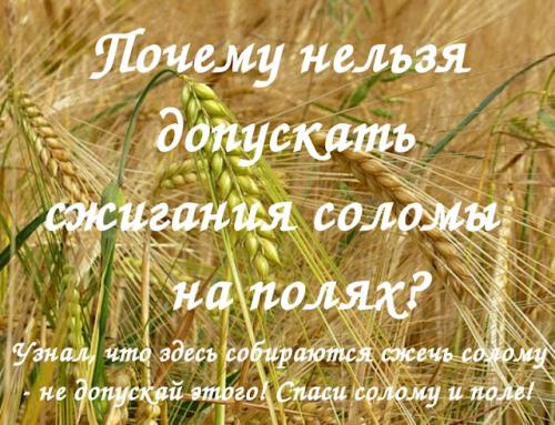 Теплая грядка из соломы. Применение и роль соломы в природном земледелии!