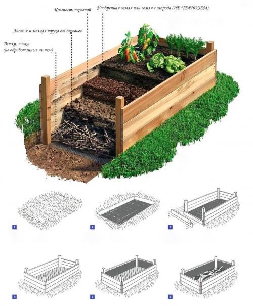 Теплые грядки легко и просто. Процесс обустройства теплых грядок