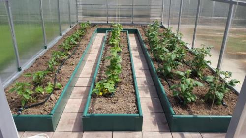 Теплые грядки в теплице своими руками: устройство, формирование и поэтапное изготовление грядок с греющим кабелем