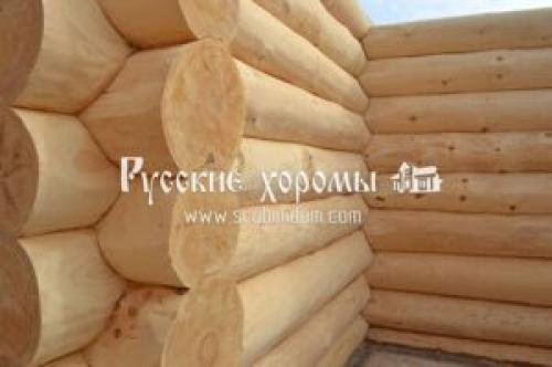 Дом из рубленного бревна. Выбор материала для дома 03