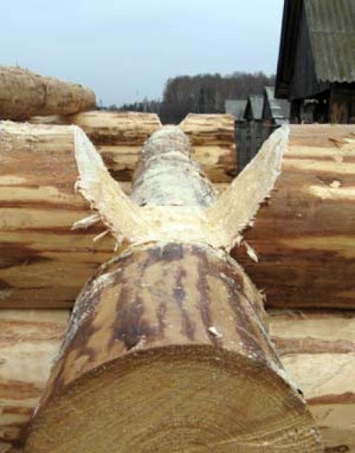 Сруб дома своими руками. Проектирование и выбор материалов