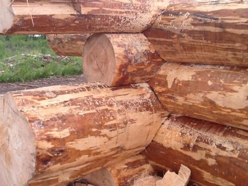 Сруб из рубленного бревна. Общие сведения