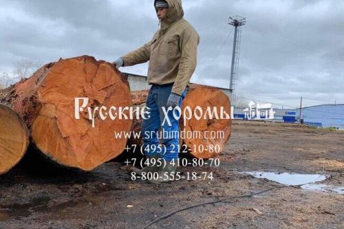 Дома из бревен большого диаметра. Преимущества и недостатки материала 03 Дома из бревен большого диаметра. Преимущества и недостатки материала 03