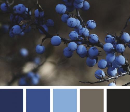 Как клеить обои в спальне. Различные виды обоев 06 Как клеить обои в спальне. Различные виды обоев 06