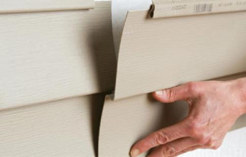 Какой сайдинг лучше справляется с воздействием насекомых. Виниловый