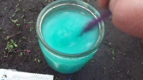 Как можно защитить старое дерево от гниения и вредителей