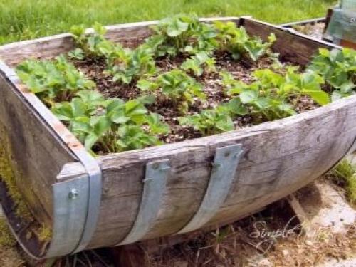 Красивый огород в частном доме. Озеленение