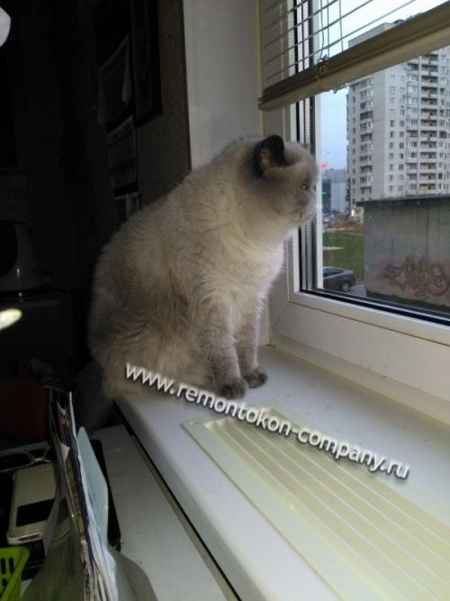 Дует из-под окна. Определяем, откуда дует