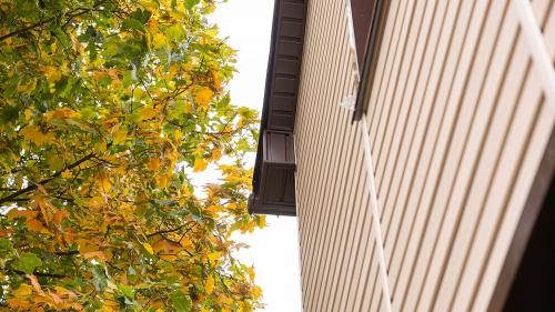 Какой сайдинг наиболее популярный для обшивки деревянных домов. ТЕХНОНИКОЛЬ