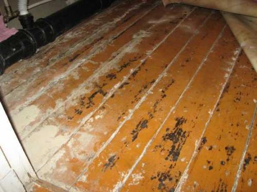 Замазка для щелей. Чем заделать щели в полу: способы народные, оригинальные и радикальные