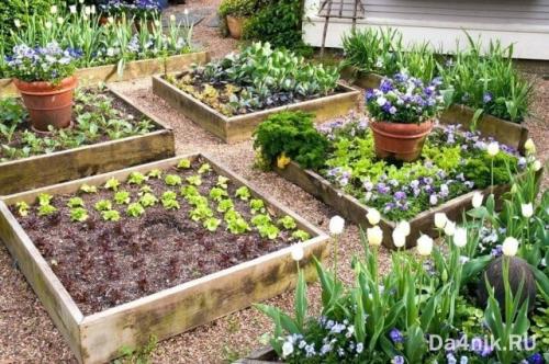 Как сделать грядки своими руками. Подготовительные работы