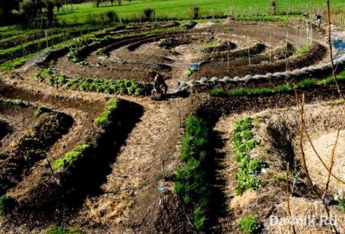 Как сделать грядки своими руками. Подготовительные работы