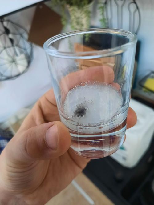 25 способов прочистить трубы от засоров. Советы от уборщика: Средство против засора   1