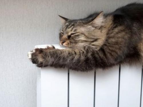 Какой радиатор лучше алюминиевый или.. Чем отличается биметаллический радиатор отопления от алюминиевого 10