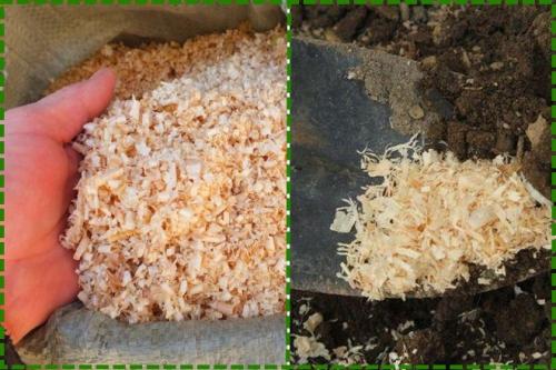 Как сделать высокие грядки для клубники. Грядки для клубники своими руками: интересные идеи