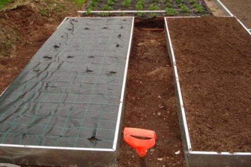 Как сделать высокие грядки для клубники. Грядки для клубники своими руками: интересные идеи