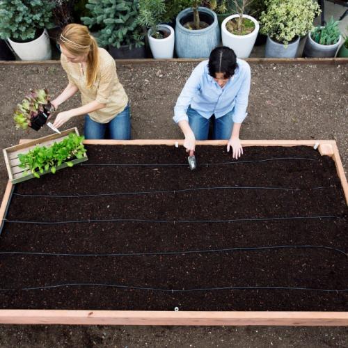 Теплые грядки своими руками. Как сделать теплую грядку осенью 02