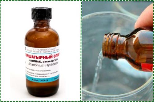 Как сделать высокие грядки для клубники. Грядки для клубники своими руками: интересные идеи