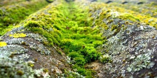 Чем покрыть крышу дома недорого и качественно. Металлочерепица: плюсы и минусы, особенности монтажа 18 Чем покрыть крышу дома недорого и качественно. Металлочерепица: плюсы и минусы, особенности монтажа 18