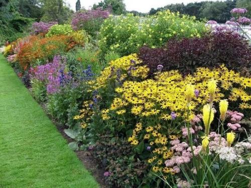 Обустройство дачного участка для ленивых. Сад для ленивых: как сделать и содержать