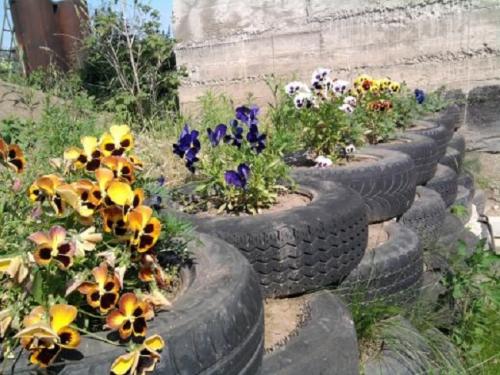 Как обустроить участок возле дома. Где взять недорогие материалы для обустройства участка