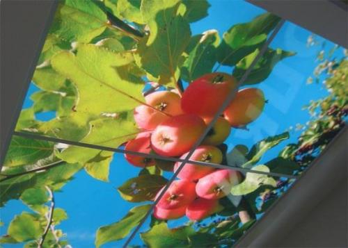 Виды профилей для натяжного потолка. Разновидность профилей и особенности 05