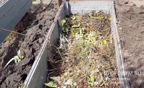 Грядки из досок чем обработать. Чем обработать доски для грядок