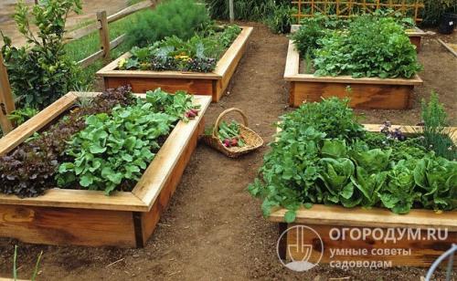 Грядки из досок чем обработать. Чем обработать доски для грядок